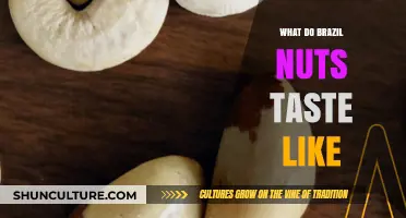 Discover the Unique Flavor Profile of Brazil Nuts: A Tasting Guide