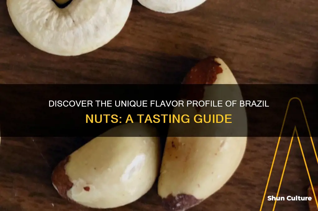 what do brazil nuts taste like