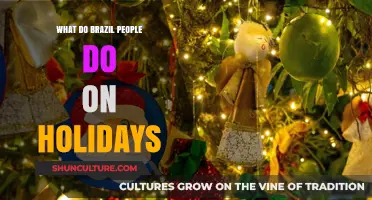 Exploring Brazilian Holiday Traditions: Celebrations, Festivals, and Cultural Practices