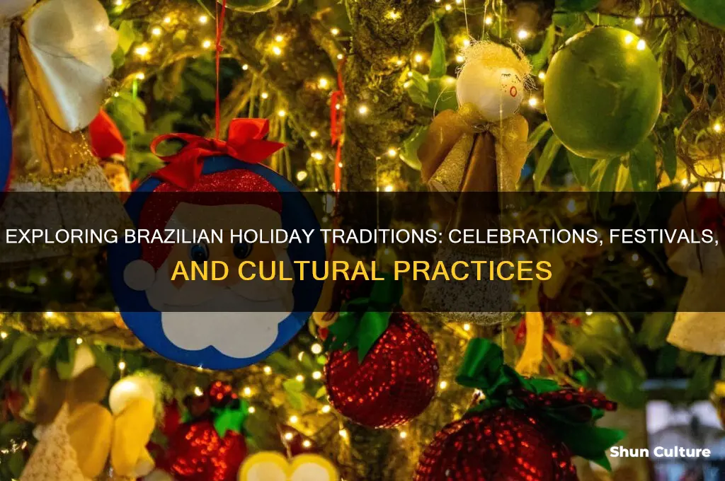 what do brazil people do on holidays