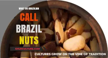 What Do Brazilians Call Brazil Nuts? Uncovering the Surprising Name