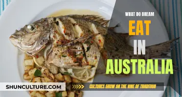 Bream's Australian Diet: What Do They Eat?