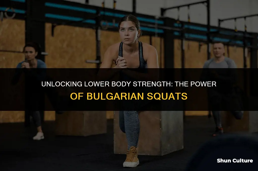what do bulgarian squats work