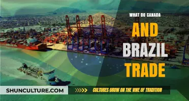 Canada-Brazil Trade: Key Exports, Imports, and Economic Partnerships Explained