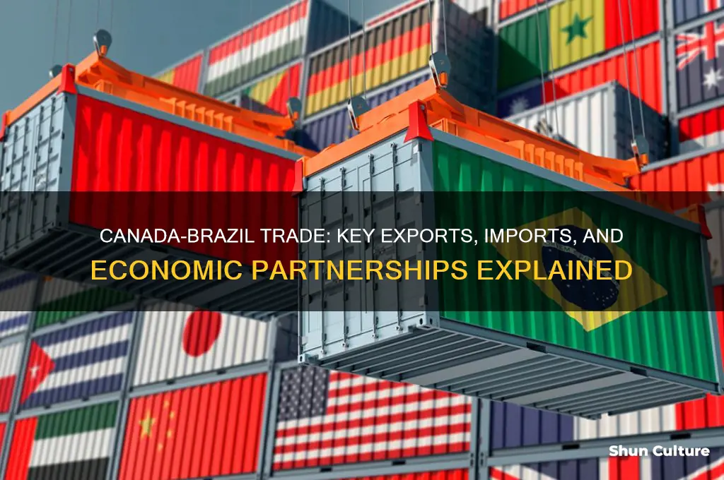 what do canada and brazil trade