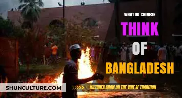 Chinese Perspectives on Bangladesh: Cultural Insights and Mutual Perceptions