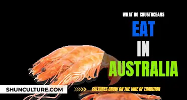 Australian Crustaceans' Diet: What They Eat Down Under