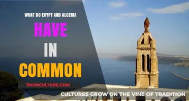 Shared History, Culture, and Traditions: Egypt and Algeria's Common Bonds