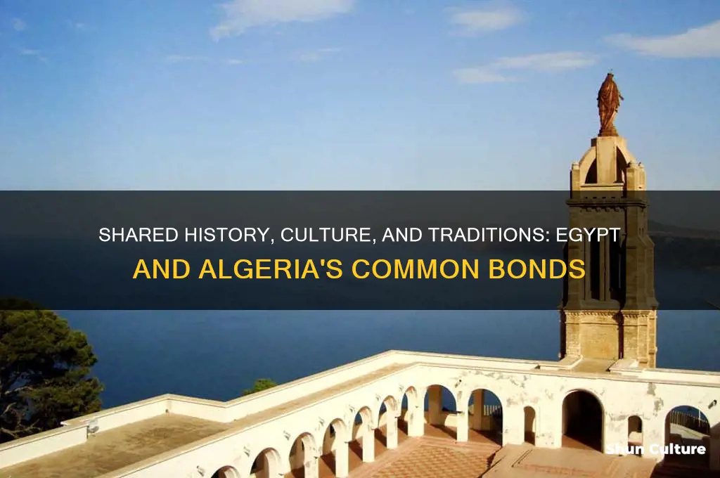 what do egypt and algeria have in common