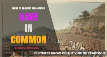 Shared History, Culture, and Ties: Exploring England and Antigua's Commonalities