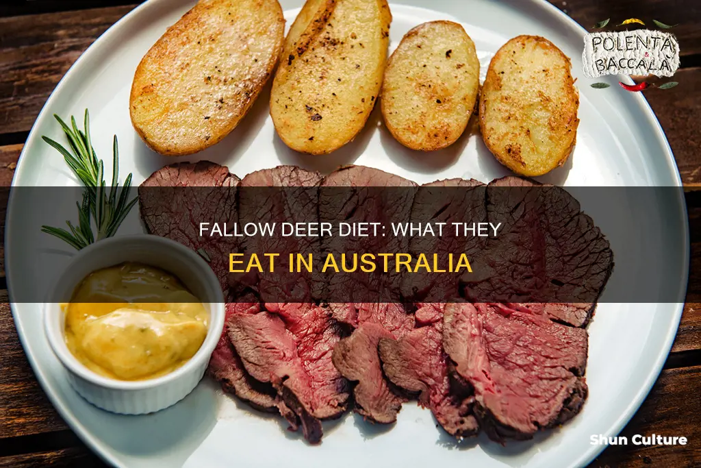 what do fallow deer eat in australia