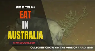 Feral Pigs' Diet: An Australian Perspective