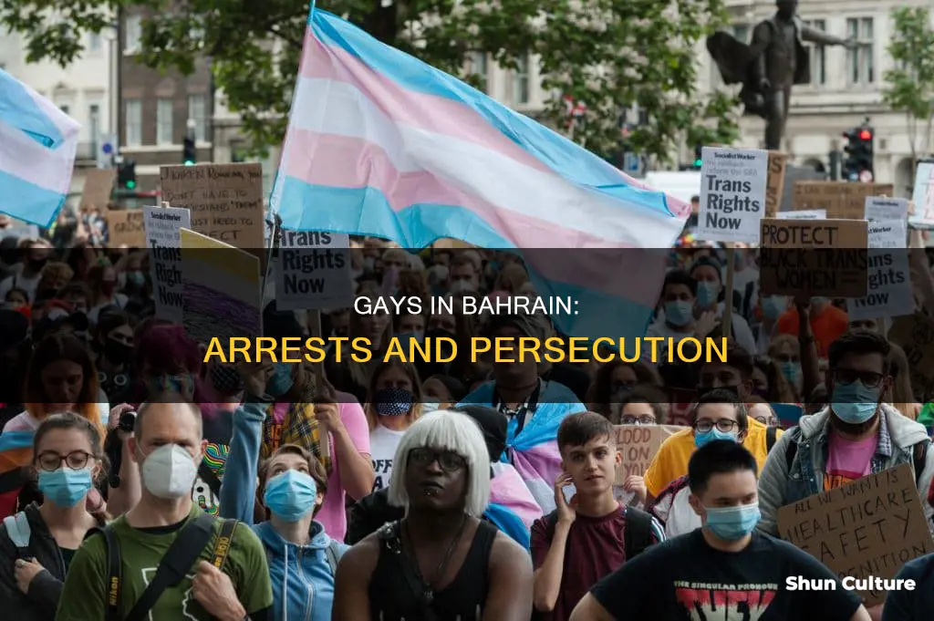 what do gays get arrested for in bahrain