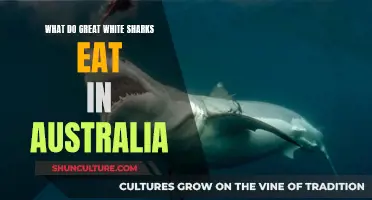 Great White Sharks' Diet in Australian Waters