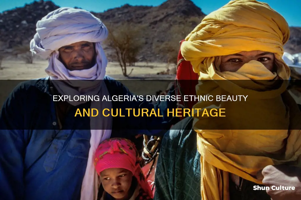 what do he people of algeria look like