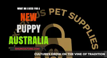 Essential Puppy Supplies: Your Complete Guide for Welcoming a New Puppy in Australia