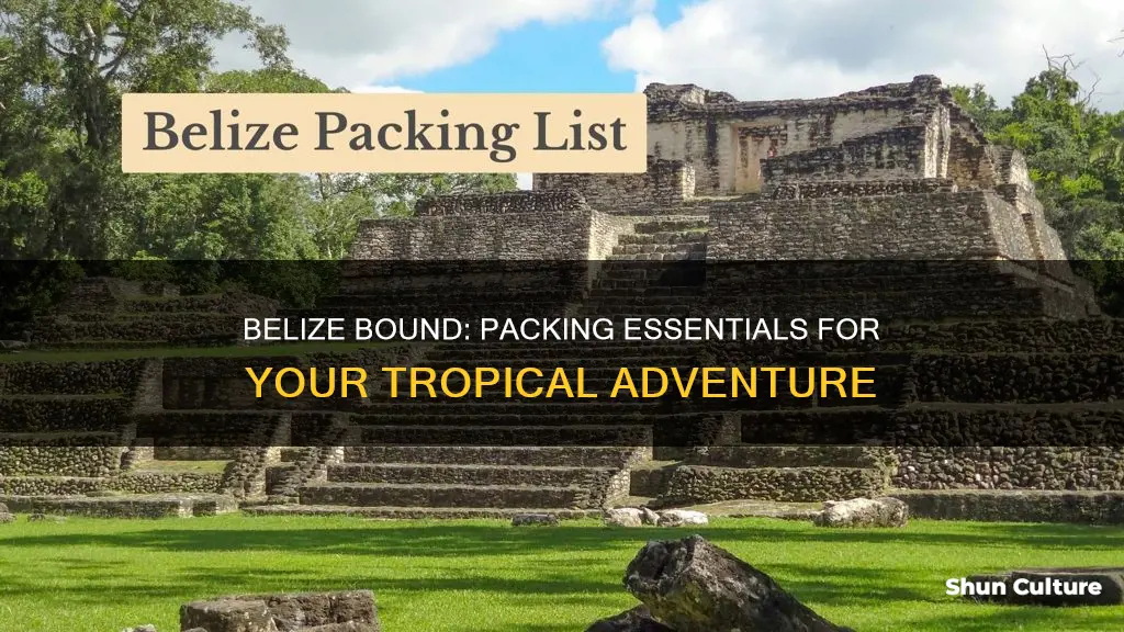 what do I need for my trip to belize