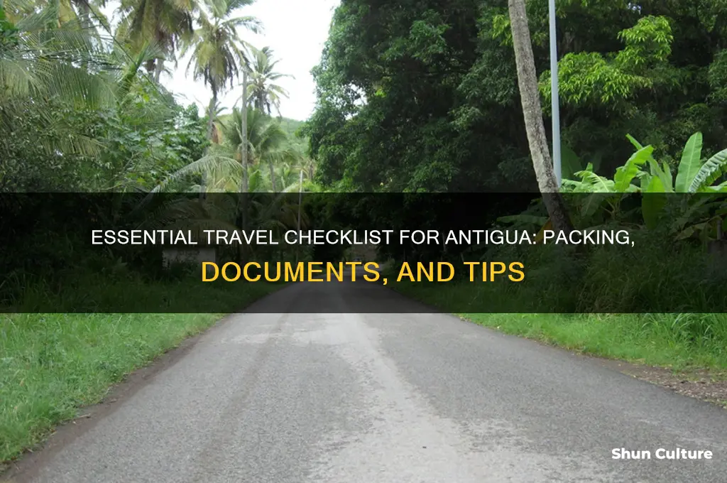 what do I need for travel to antigua