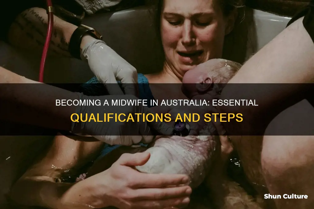 what do I need to be a midwife in australia