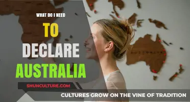 Essential Items to Declare When Entering Australia: A Traveler's Guide