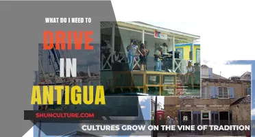 Driving in Antigua: Essential Requirements and Tips for Visitors