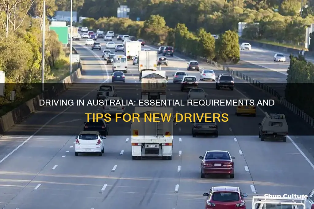 what do I need to drive in australia