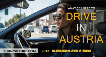 Driving in Austria: Documents, Equipment, and Rules You Need to Know