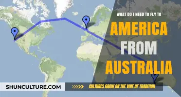 Essential Travel Requirements for Flying from Australia to America