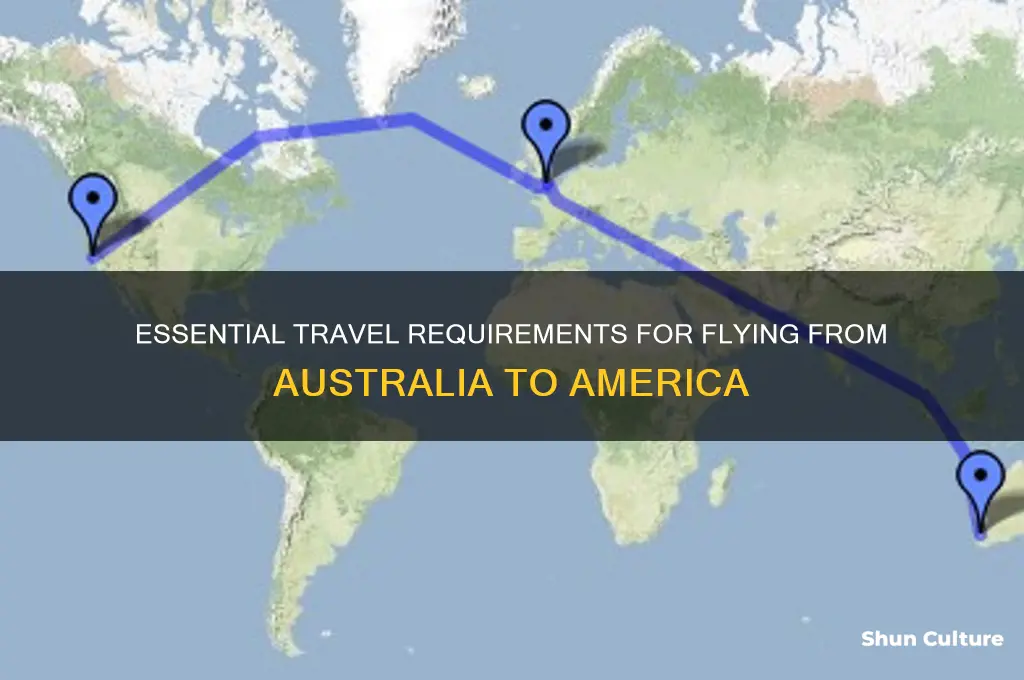 what do I need to fly to america from australia