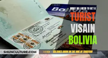 Tourist Visa Requirements for Bolivia: A Quick Guide