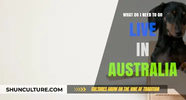 Essential Steps and Requirements for Moving to Australia Successfully