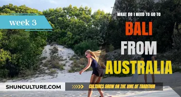 Essential Travel Guide: Australia to Bali Preparation Tips and Requirements