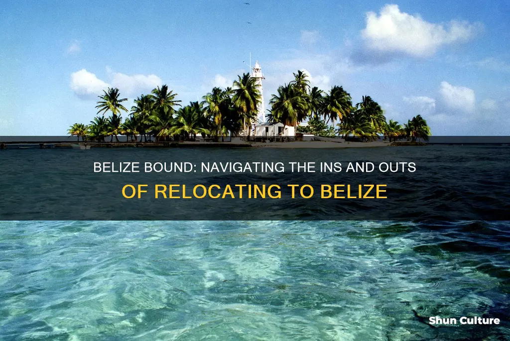 what do I need to know about moving to belize