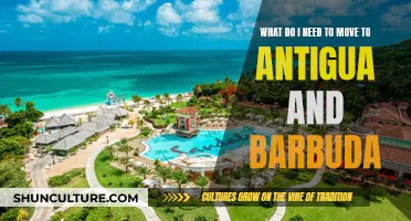 Relocating to Antigua and Barbuda: Essential Requirements