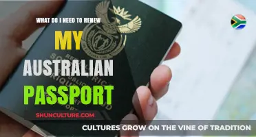 Renewing Your Australian Passport: Essential Documents and Steps to Follow