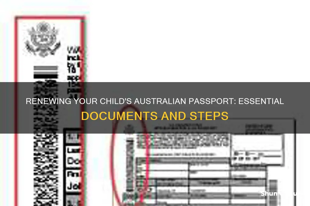 what do I need to renew my childs australian passport
