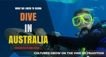 Essential Gear and Tips for Scuba Diving in Australia