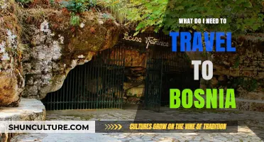 Essential Travel Requirements for Visiting Bosnia: A Comprehensive Guide