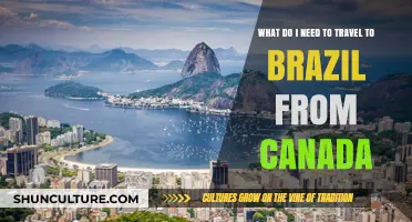 Traveling to Brazil from Canada: Essential Requirements and Tips