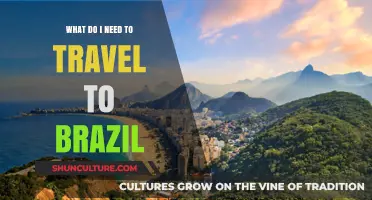 Essential Travel Requirements for Exploring Brazil: Your Complete Guide