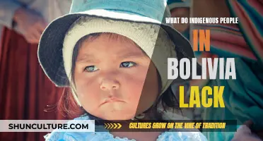 The Plight of Indigenous Bolivians: Access Denied