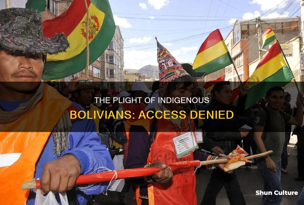 what do indigenous people in bolivia lack