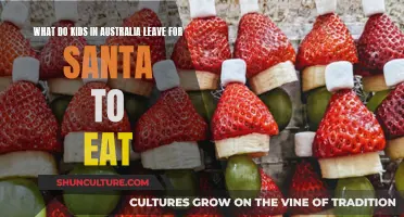 Santa's Australian Feast: What Kids Leave for Christmas