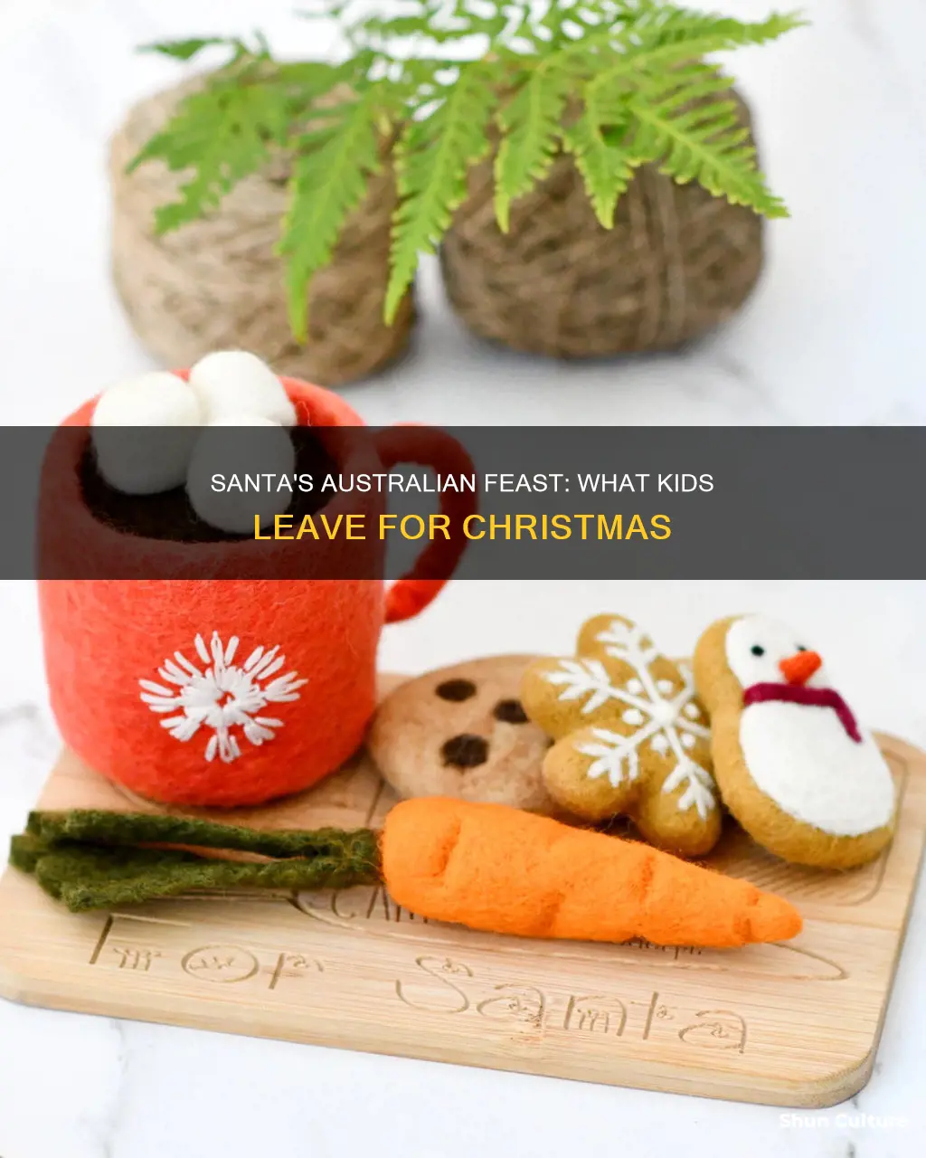 what do kids in australia leave for santa to eat