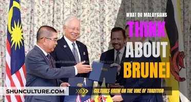 Malaysians' Perceptions of Brunei: A Cultural Perspective