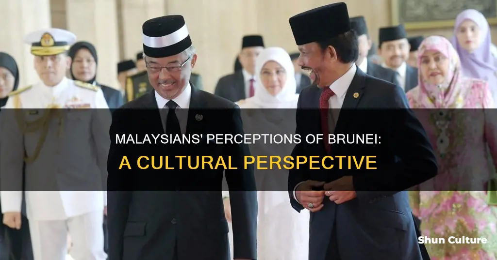 what do malaysians think about brunei