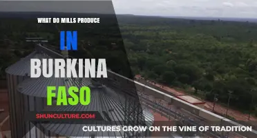 Burkina Faso's Mills: A Deep Dive into Their Diverse Productions