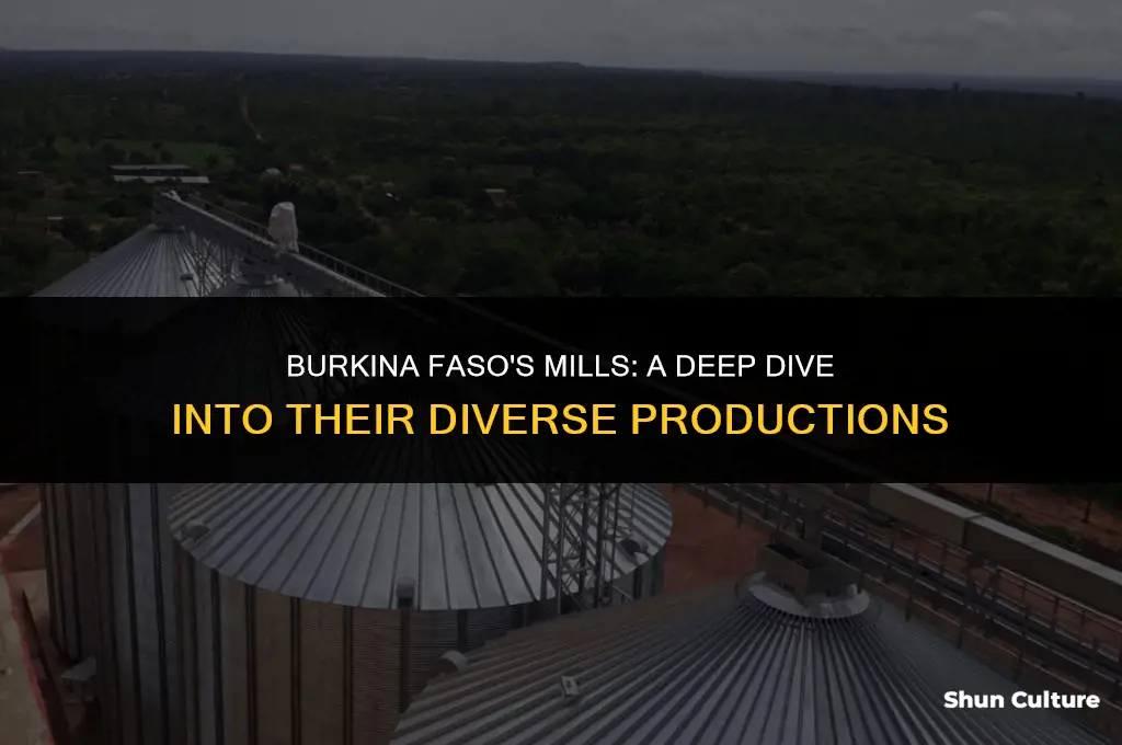 what do mills produce in burkina faso