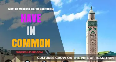 Shared Heritage: Morocco, Algeria, and Tunisia's Cultural and Historical Bonds