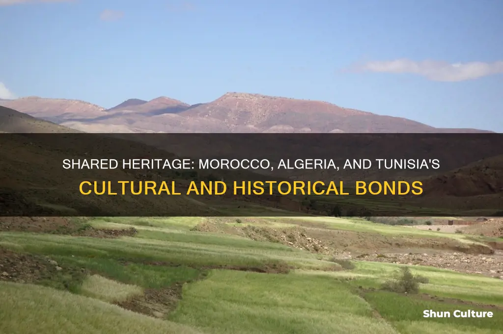 what do morocco algeria and tunisia have in common